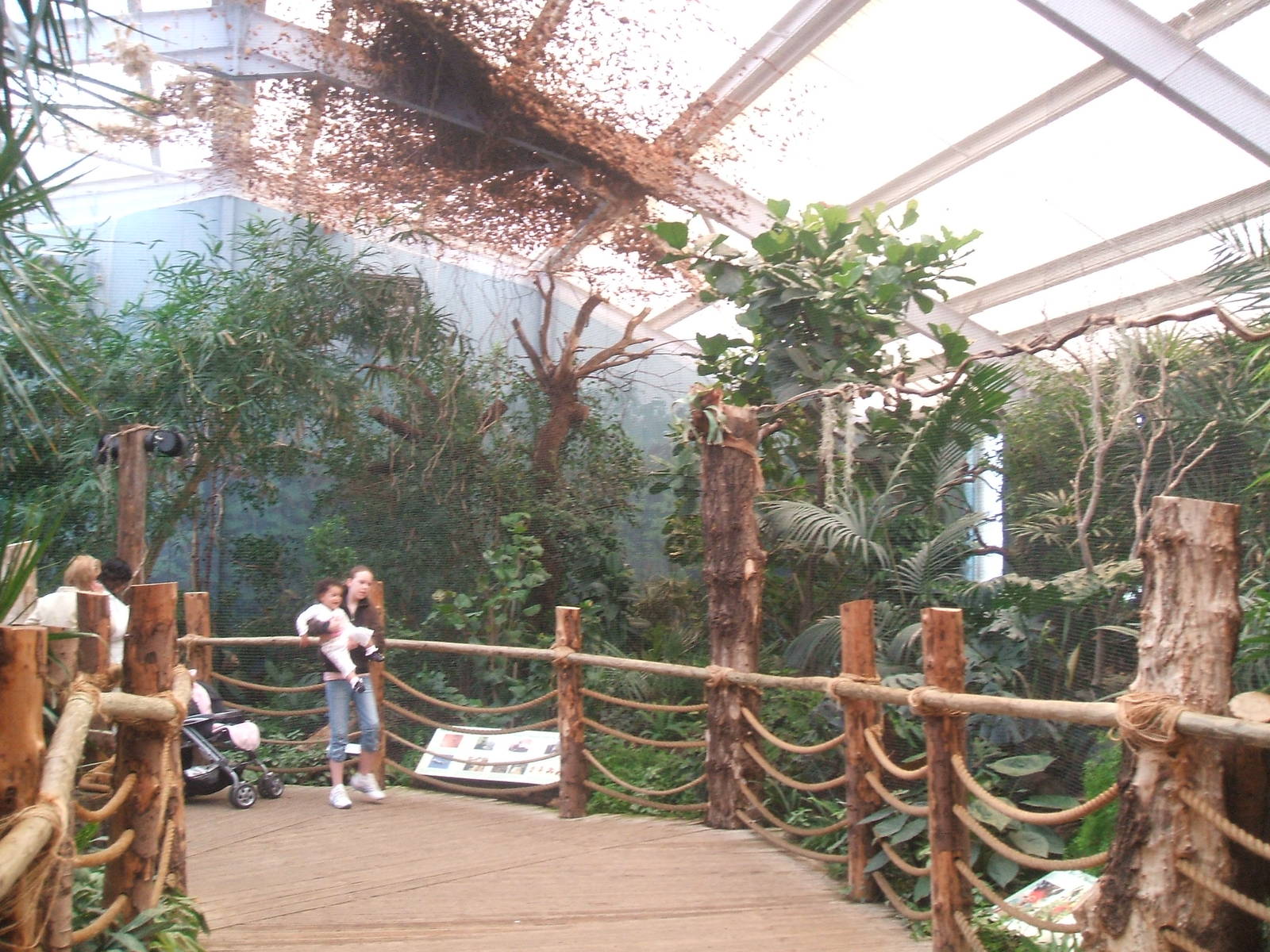 Bird aviaries at Chester Zoo