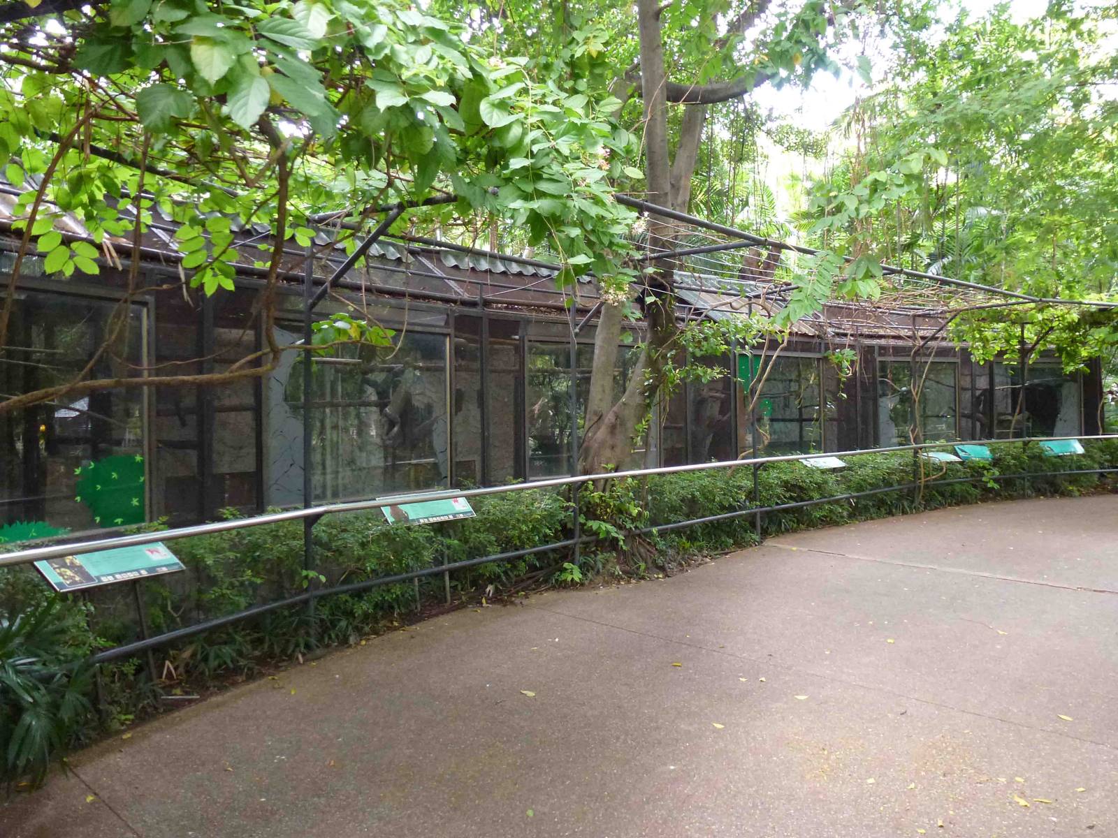 Bird aviaries, July 2013.