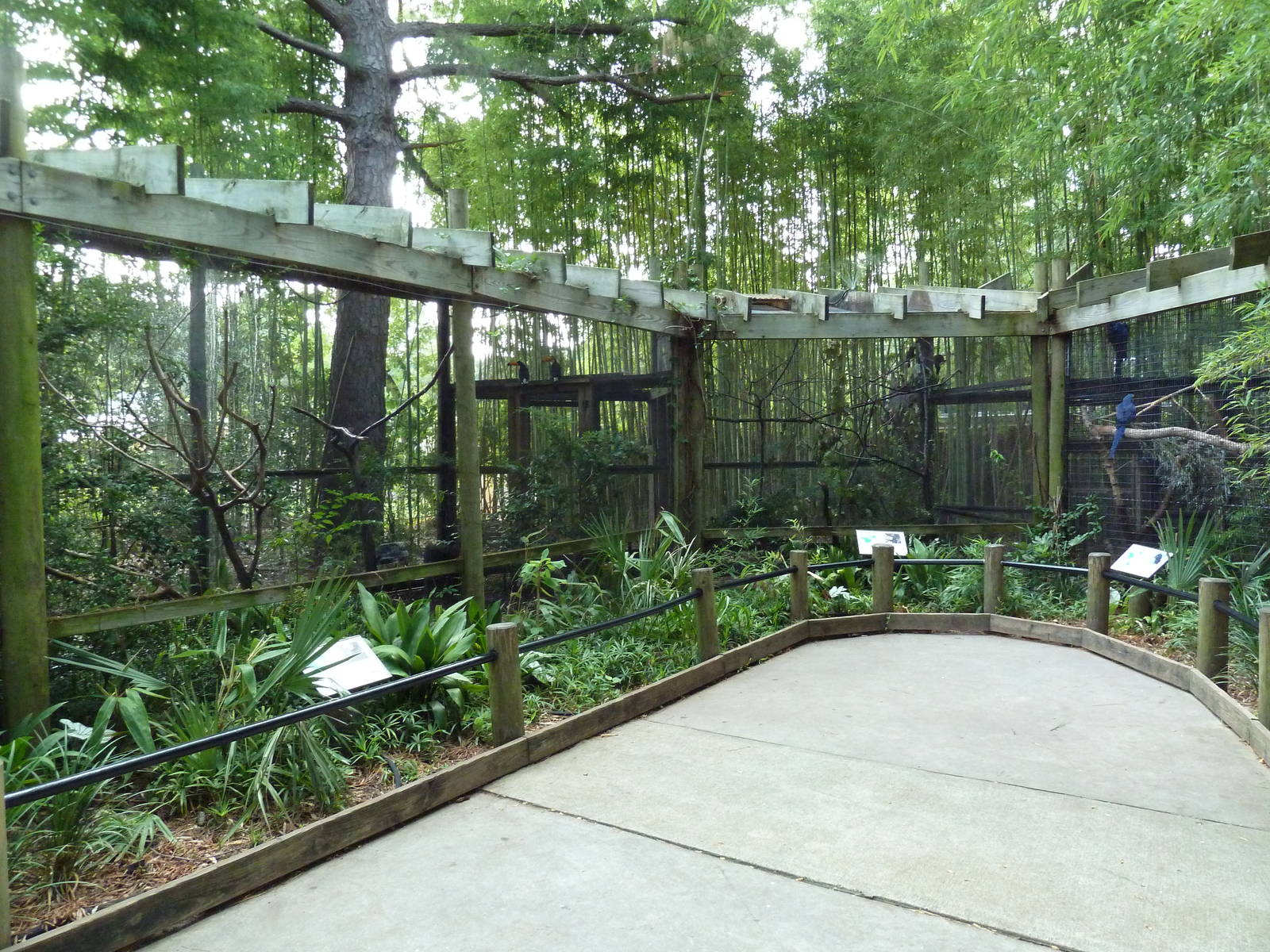 Bird Aviaries