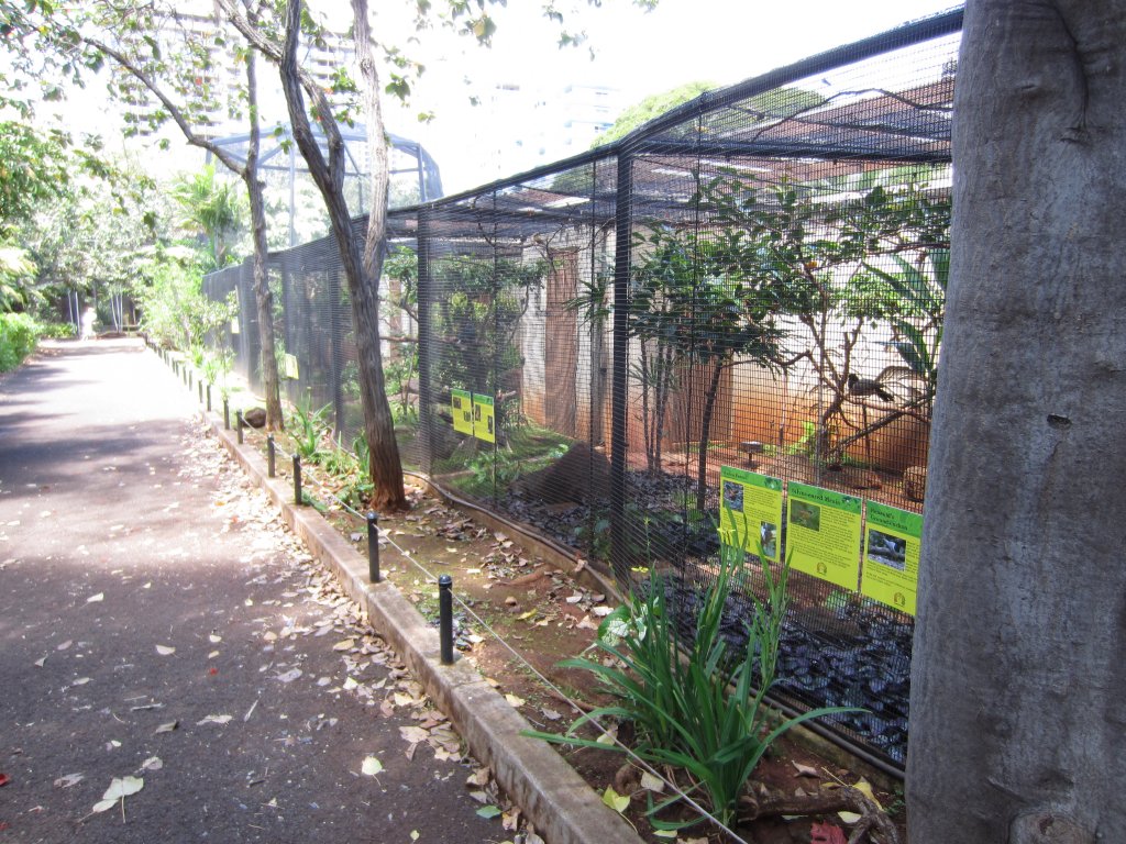 Bird Aviaries