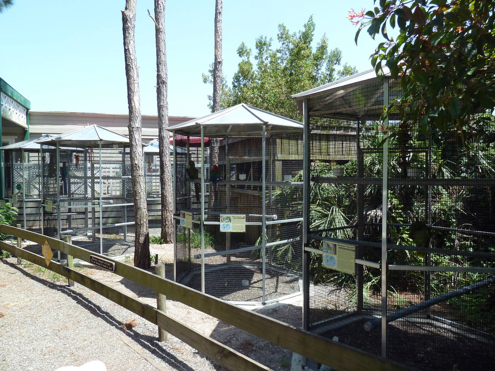 Bird Aviaries