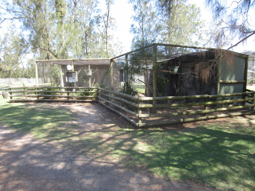 Bird Aviaries