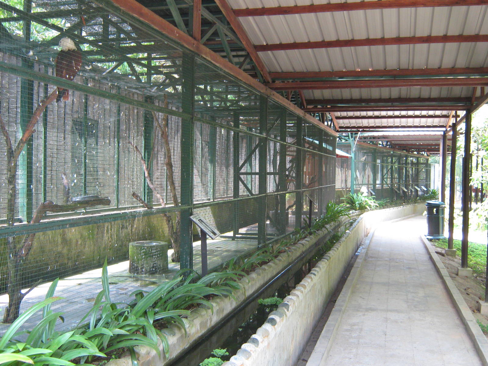 bird aviaries