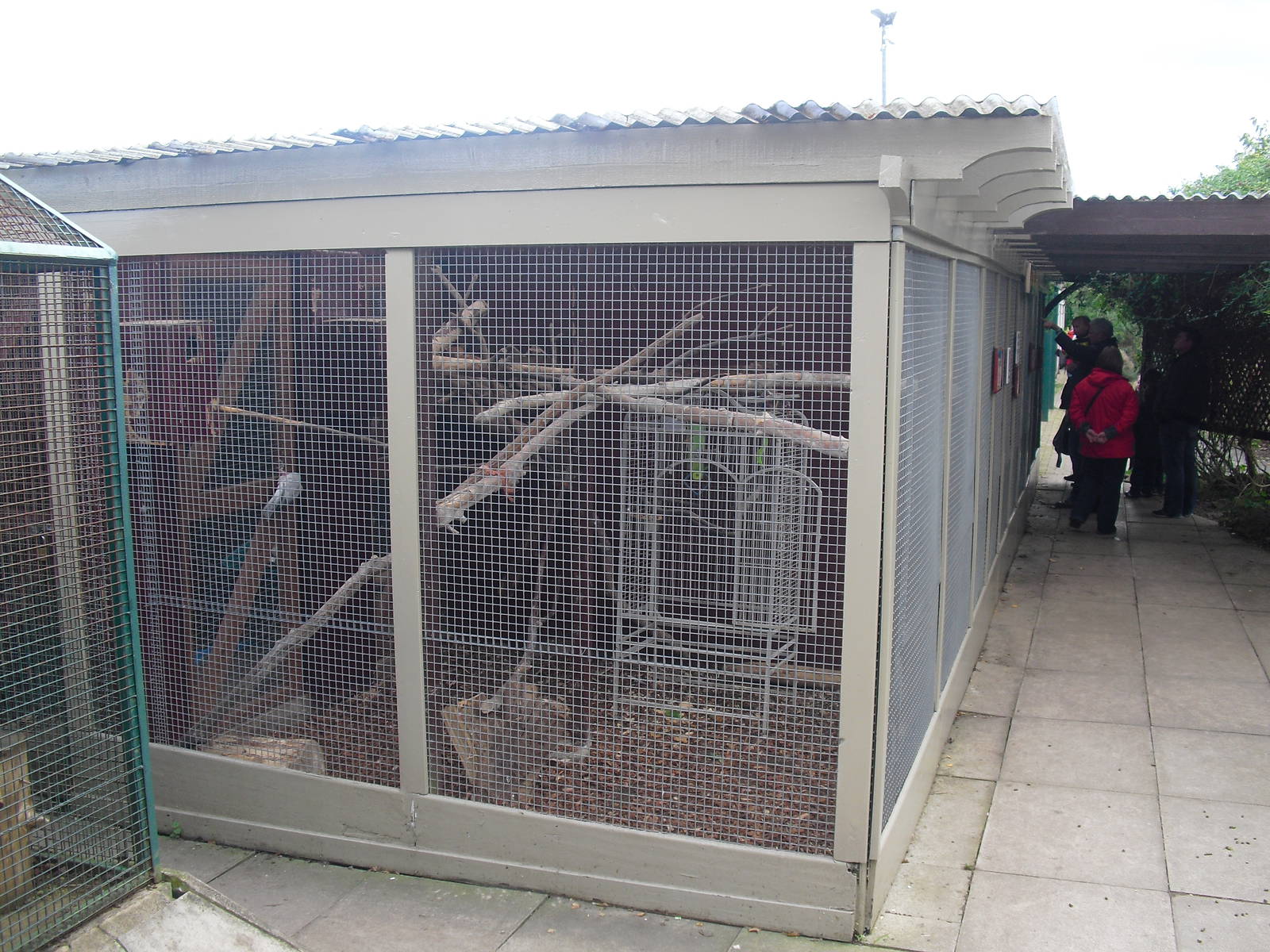 Bird Aviary - 16/10/2011