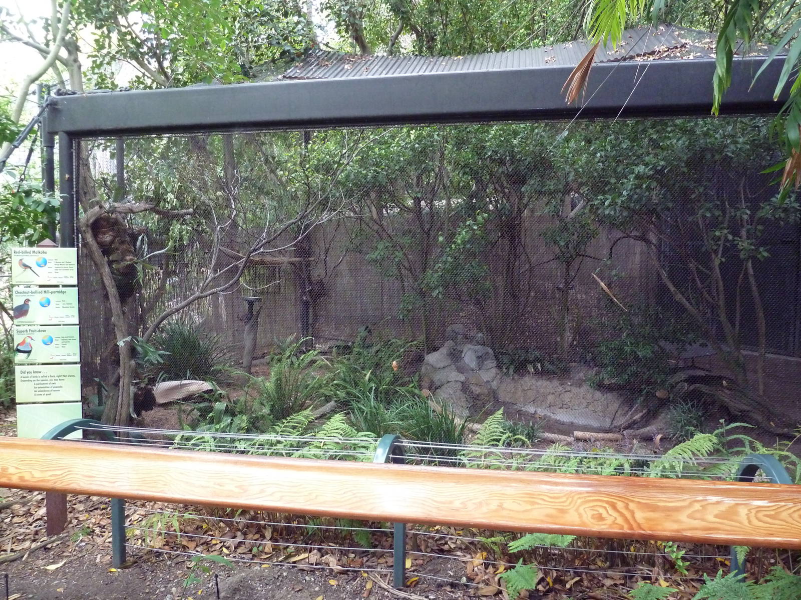 Bird Aviary (3 Species)