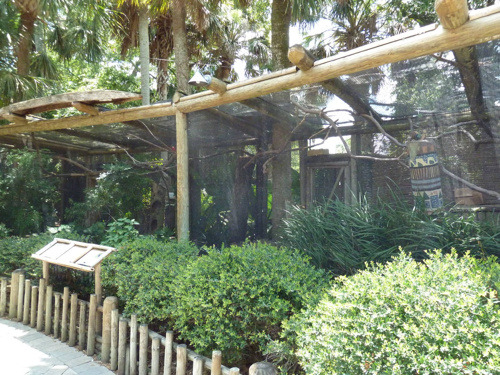 Bird Aviary (3 Species)