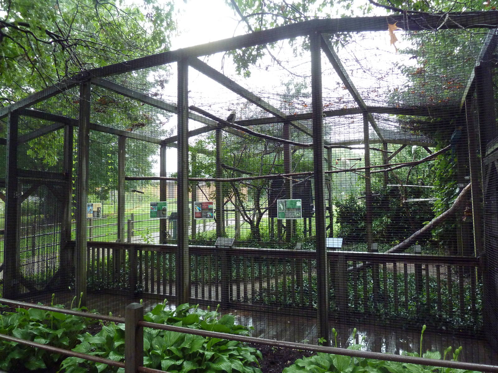 Bird Aviary (4 Species)