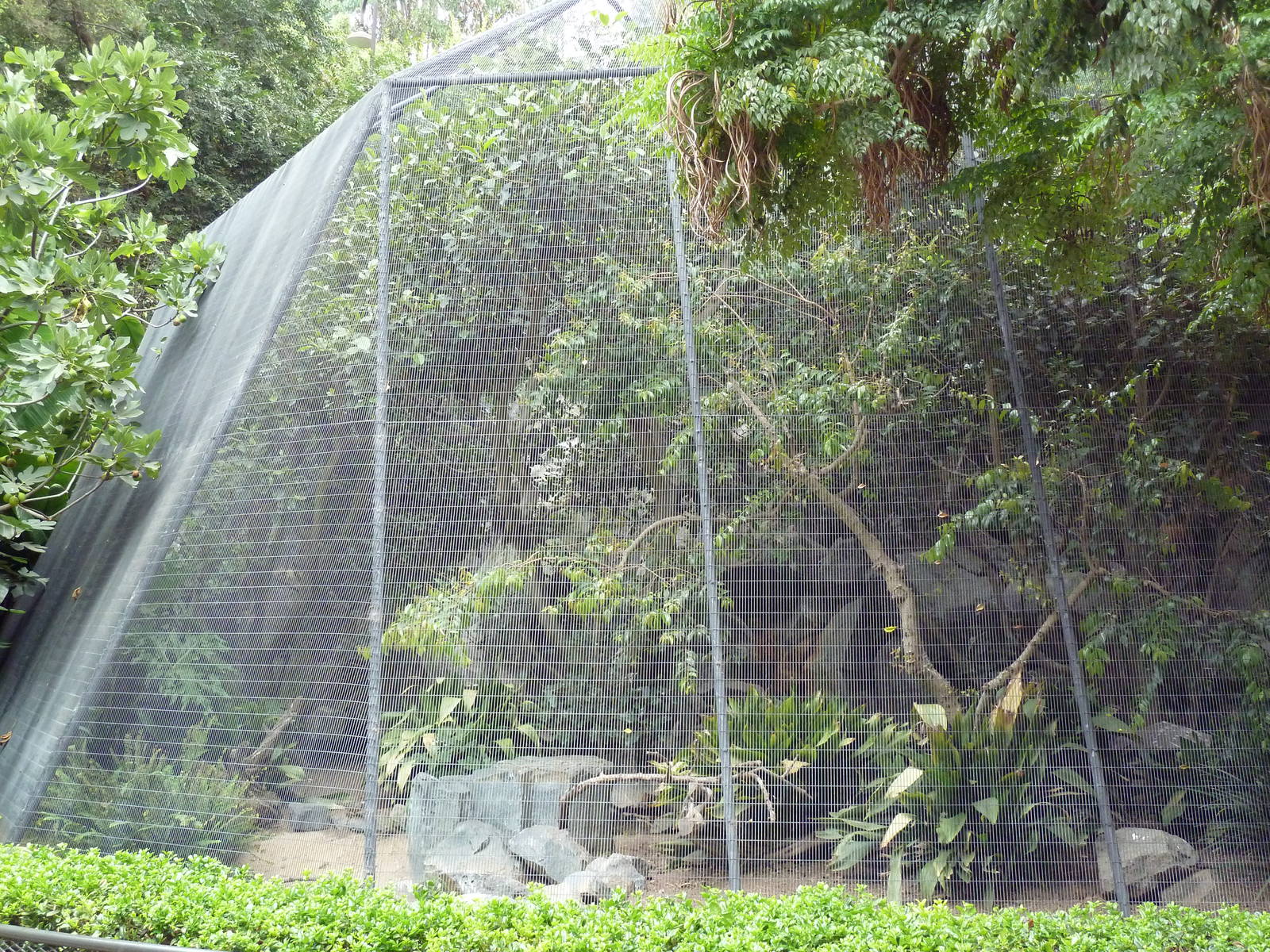 Bird Aviary (6 Species)