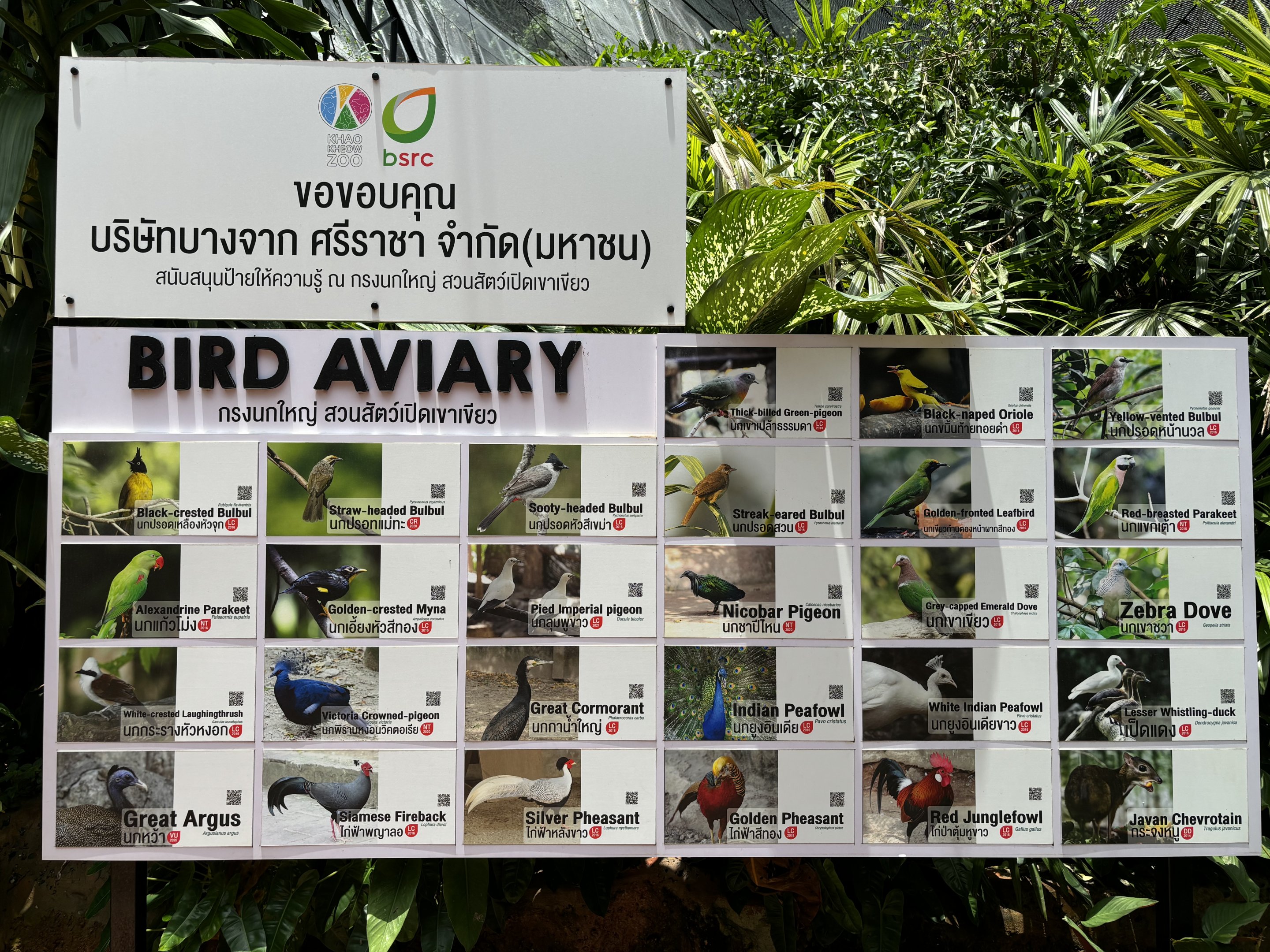 Bird Aviary - species list