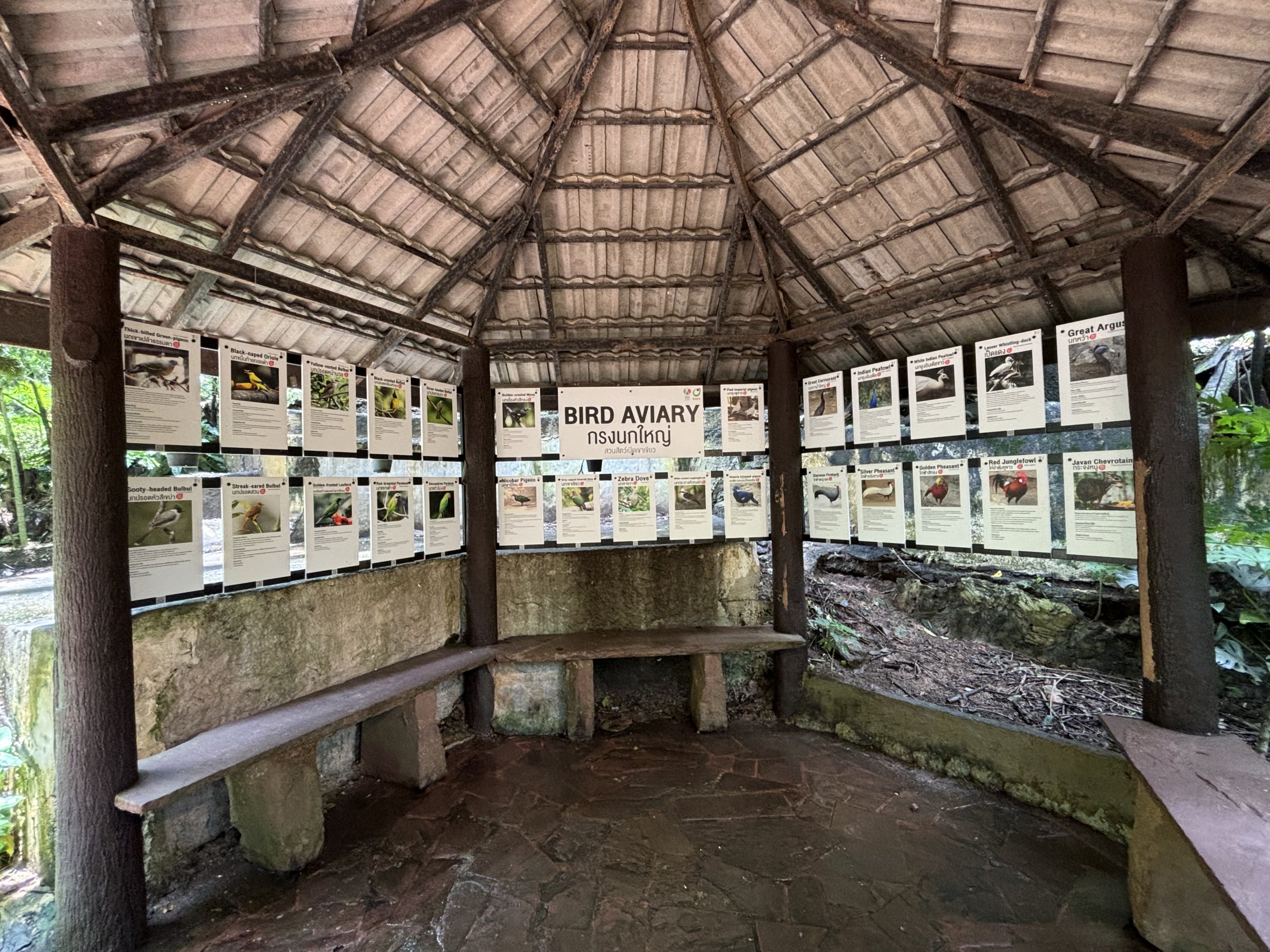 Bird Aviary - species list