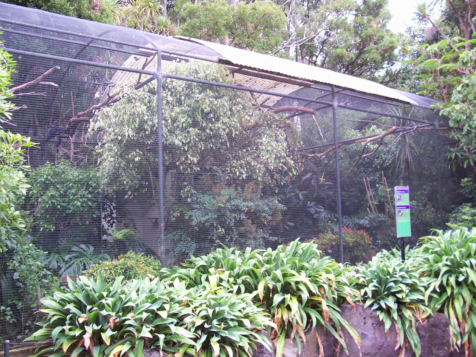Bird Aviary
