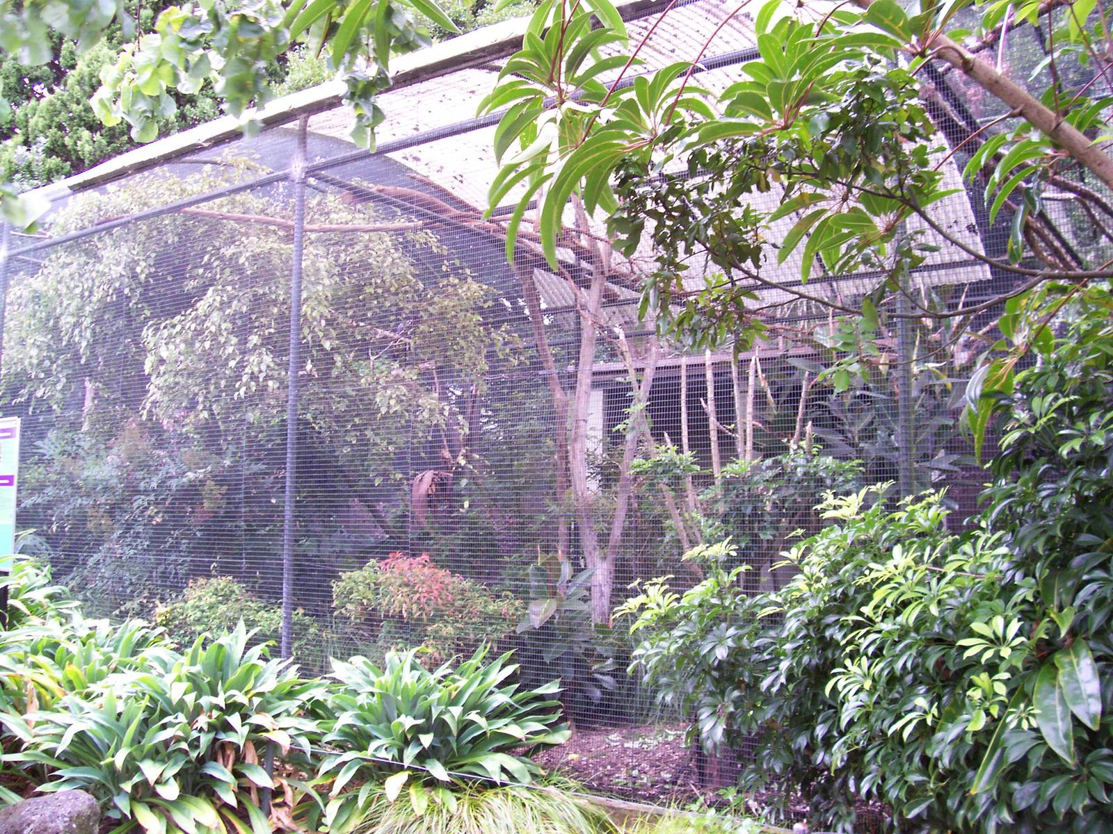 Bird Aviary