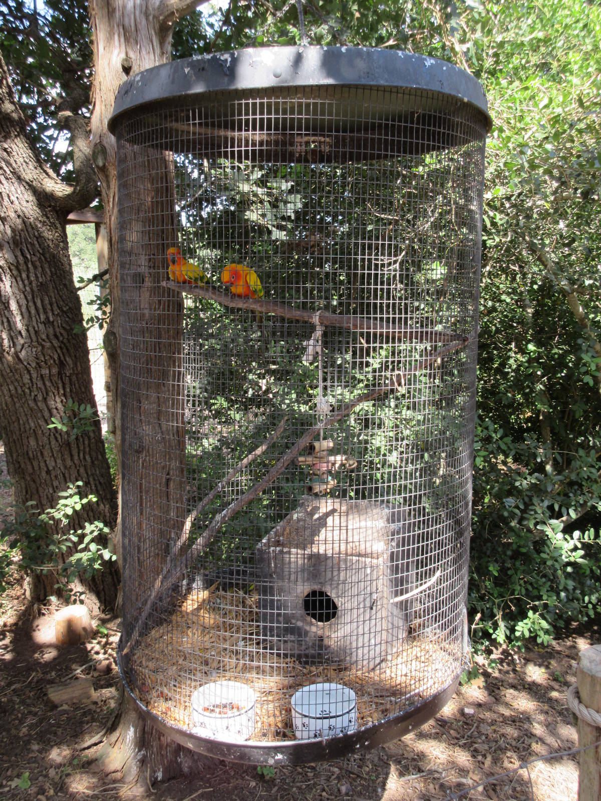 Bird Aviary