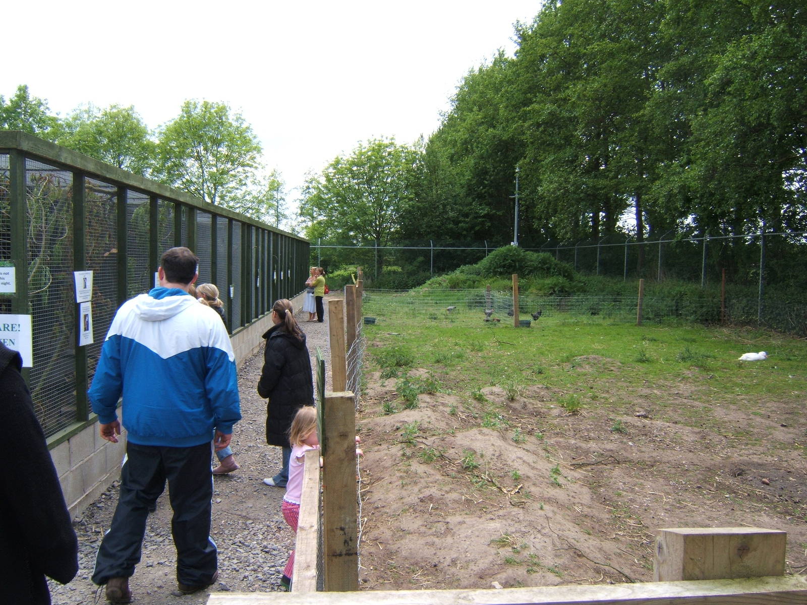 Bird Aviarys plus land not yey used except for housing a few hens on.