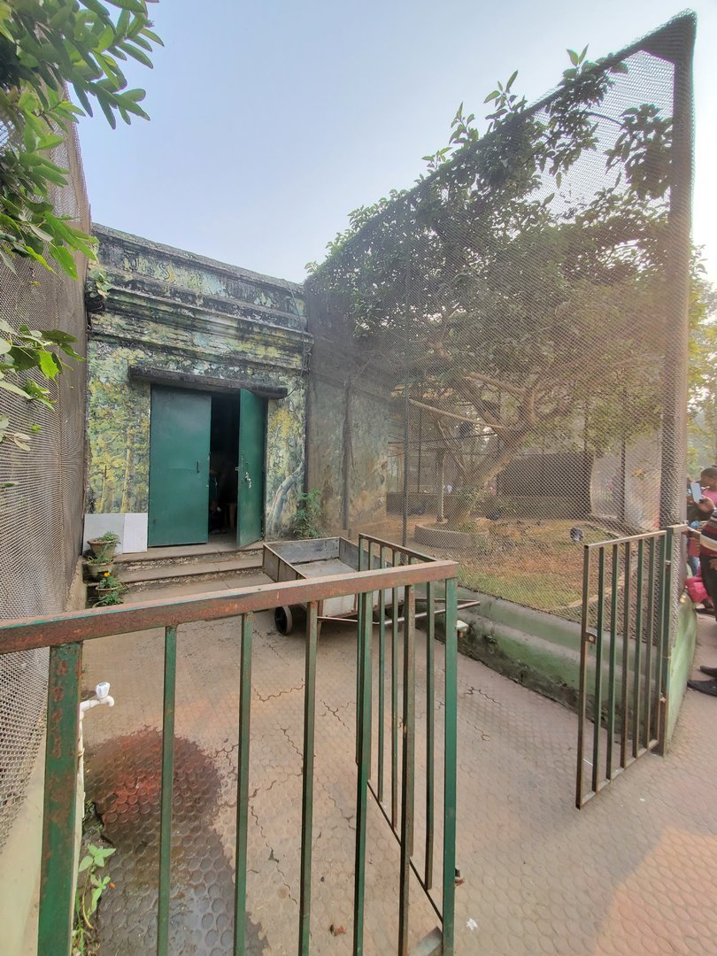 Bird Backstage Door - January 2023