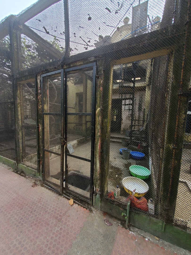 Bird Backstage - January 2023