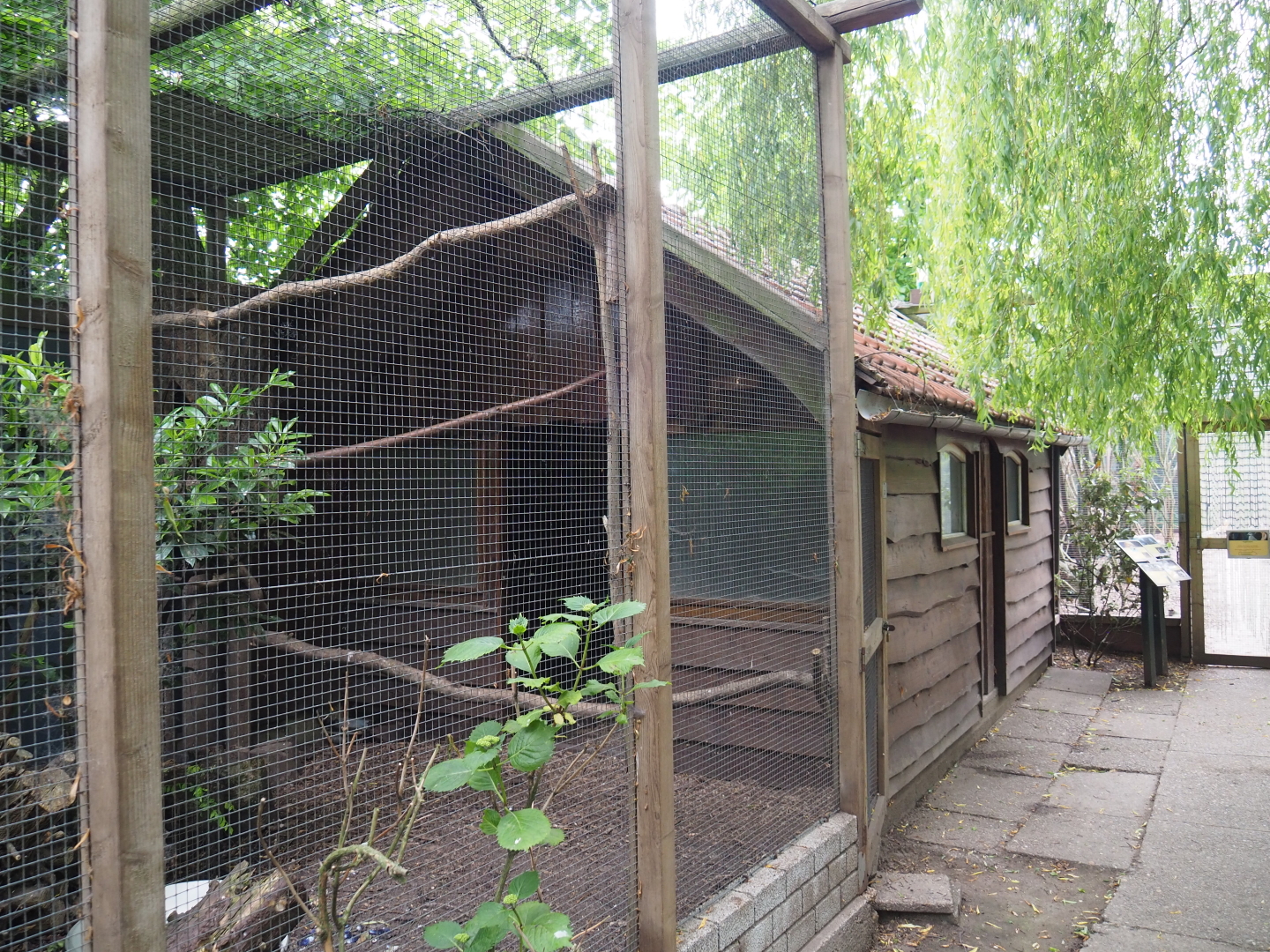 Bird barn, 2019-05-25