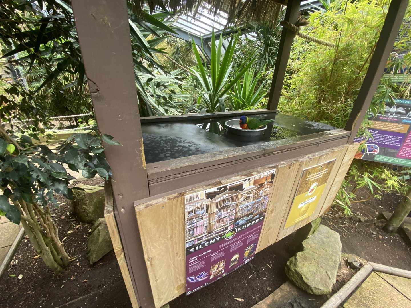 Bird bath stall
