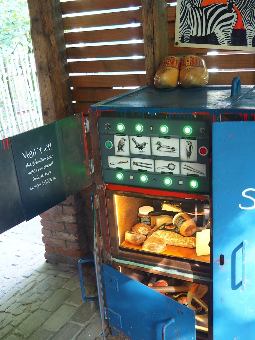 Bird beaks display, 2023-09-24