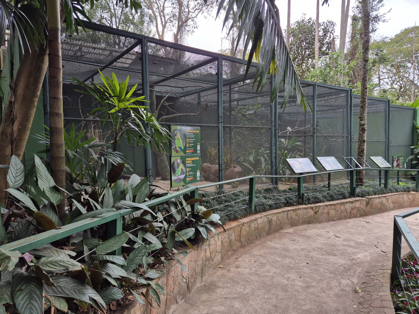 Bird/Buffy-tufted ear Marmoset exhibits
