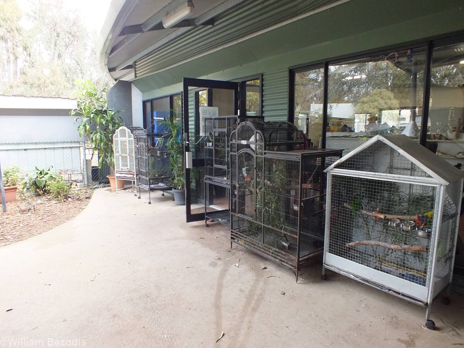 Bird Cages in the Koala Area - Cohunu Koala Park
