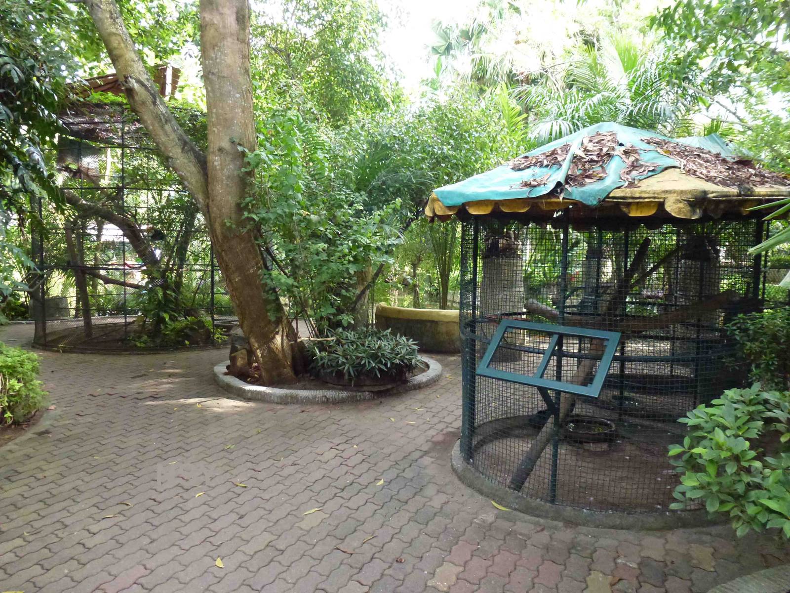 Bird cages, June 2013.