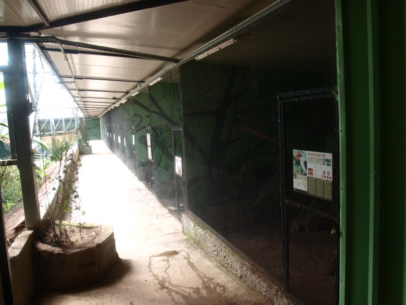 Bird cages on the second level of the Tropics Hall (April 19th, 2015)