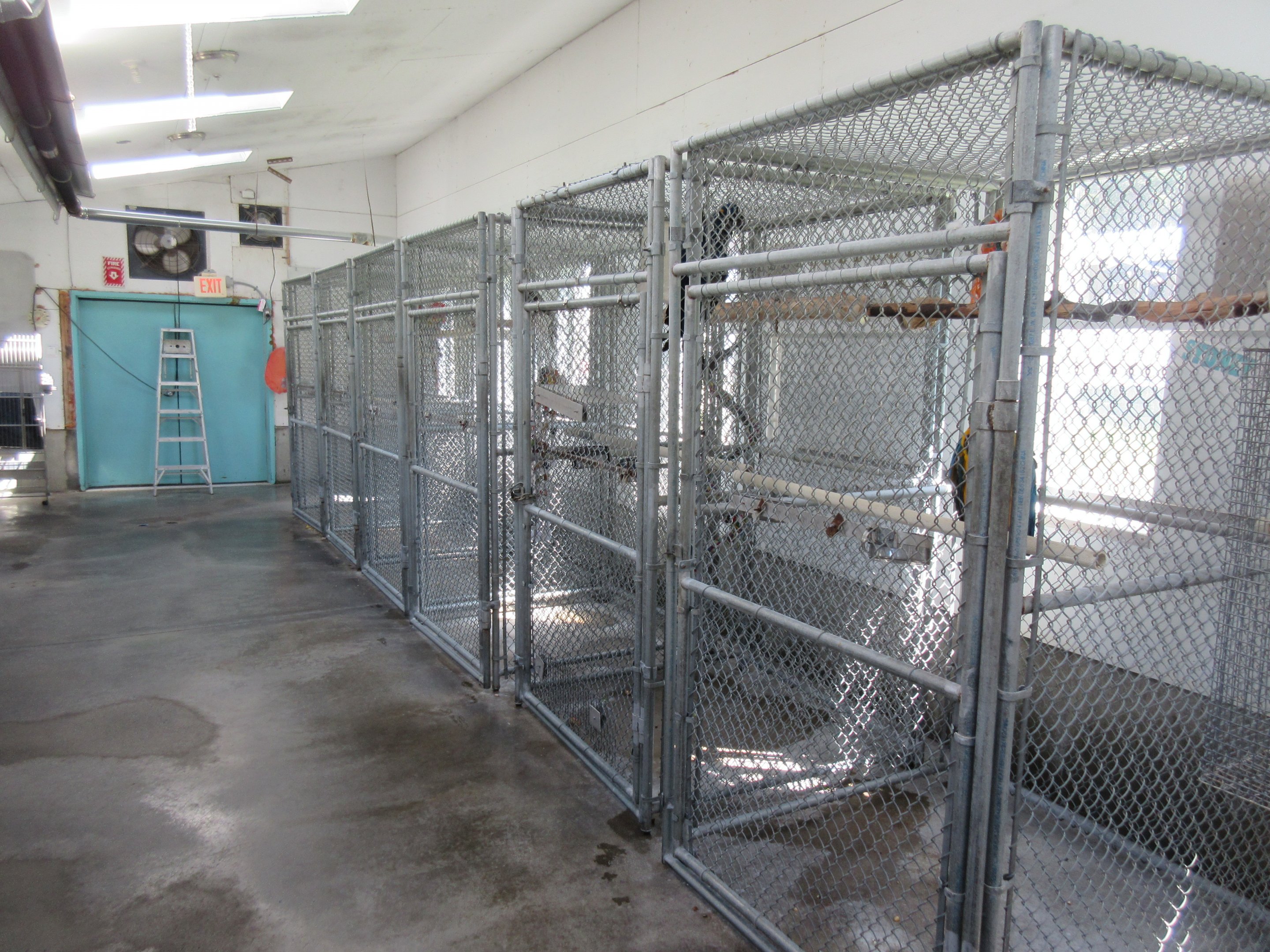 Bird Cages - the largest ones in the facility