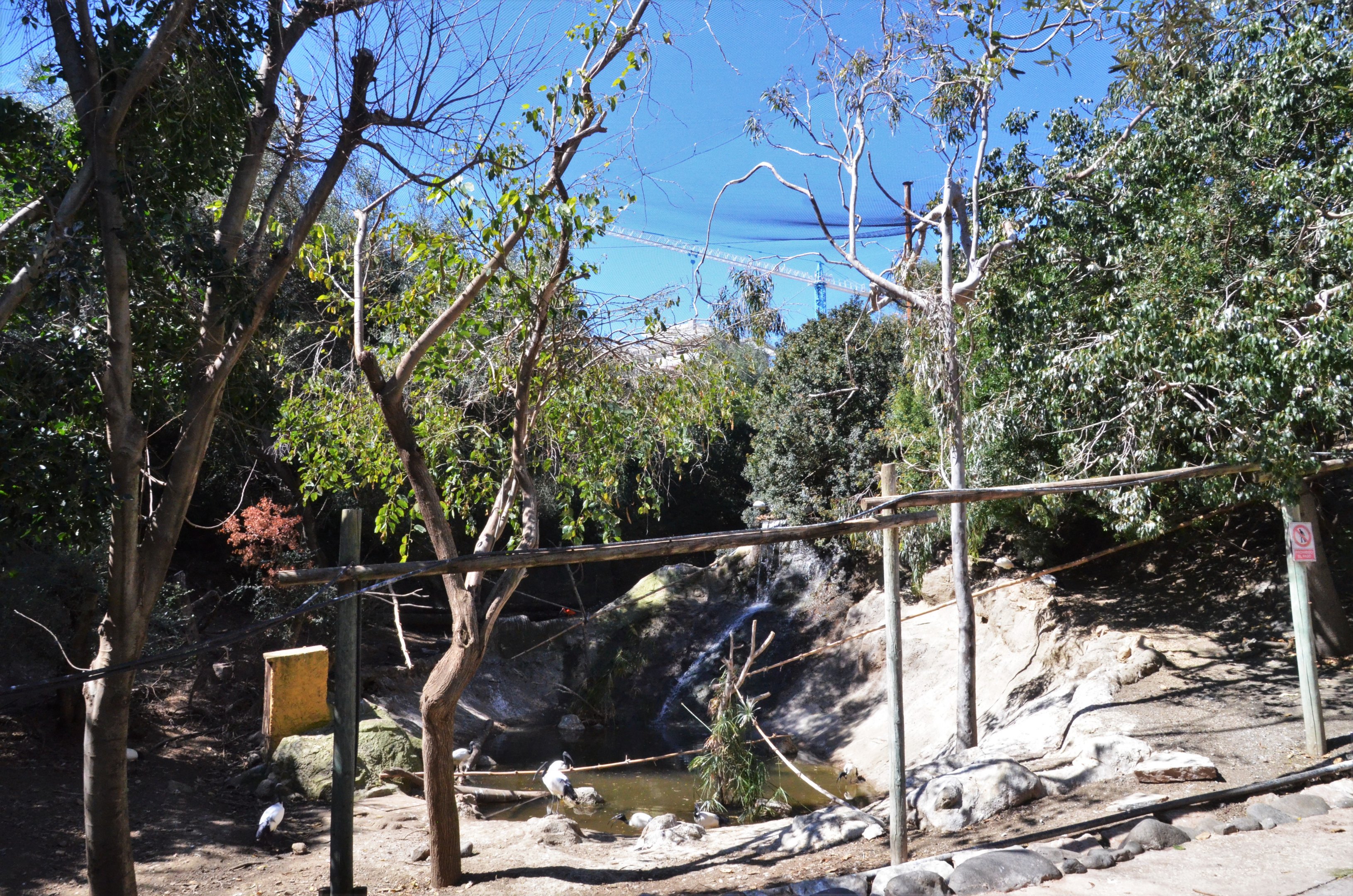 Bird Canyon at Selwo Aventura, 13/03/19