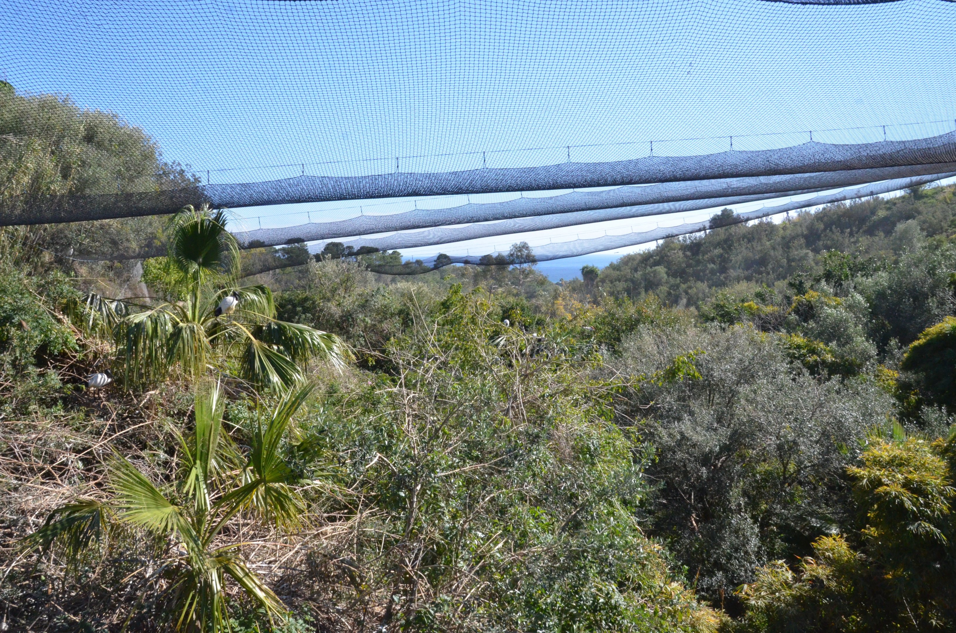 Bird Canyon Aviary at Selwo Aventura, 13/03/19