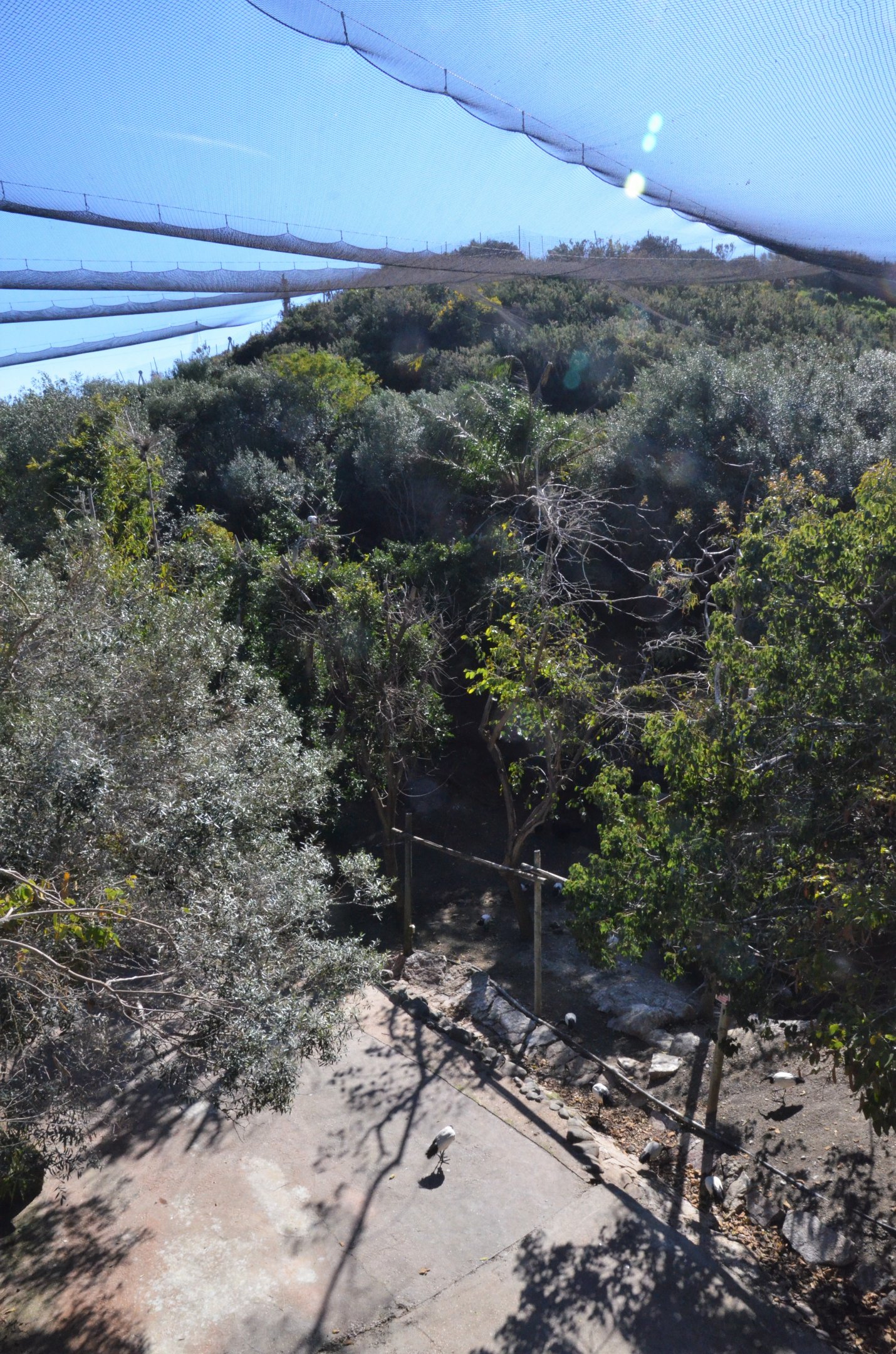 Bird Canyon Aviary at Selwo Aventura, 13/03/19