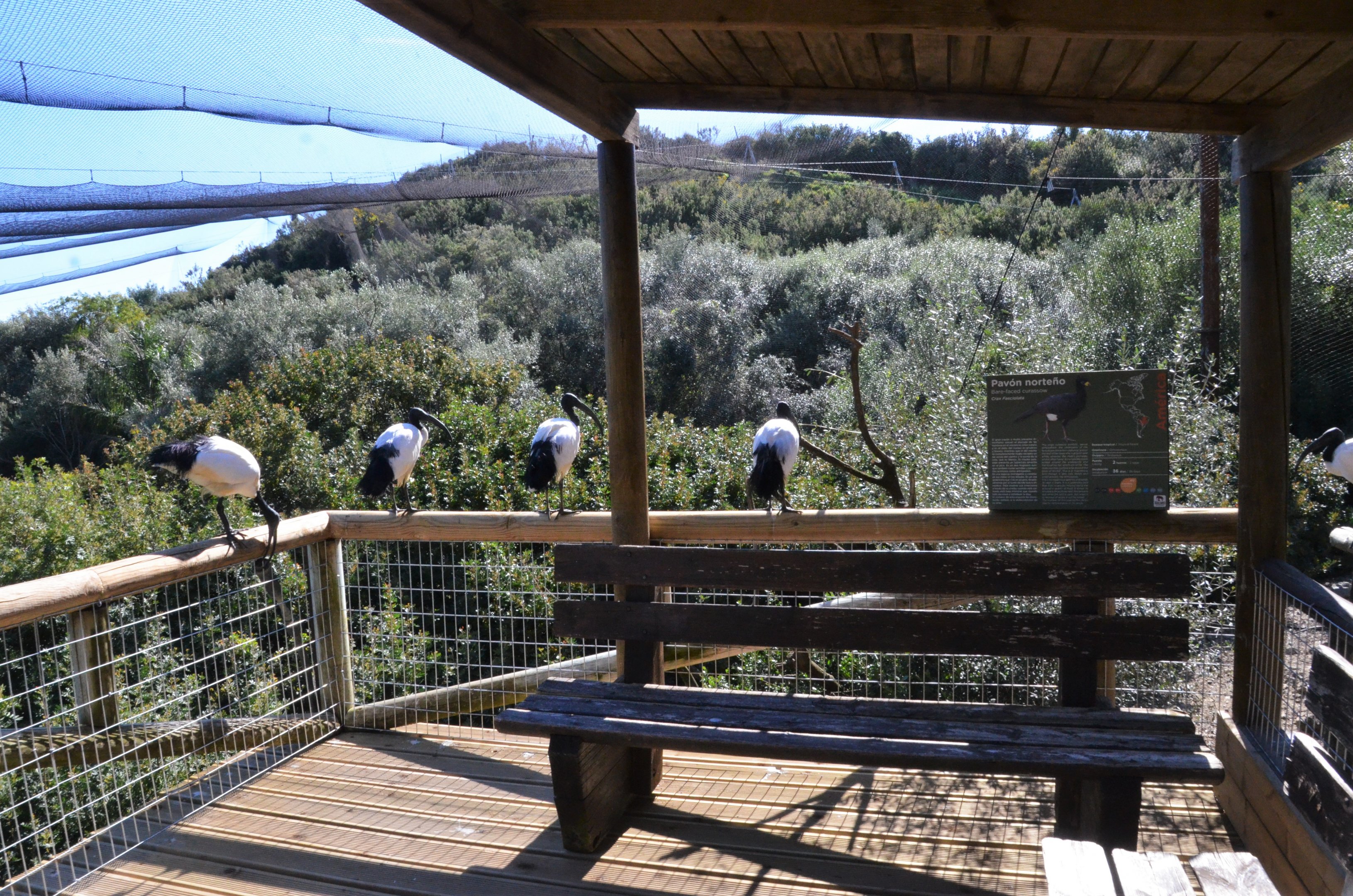 Bird Canyon Aviary at Selwo Aventura, 13/03/19