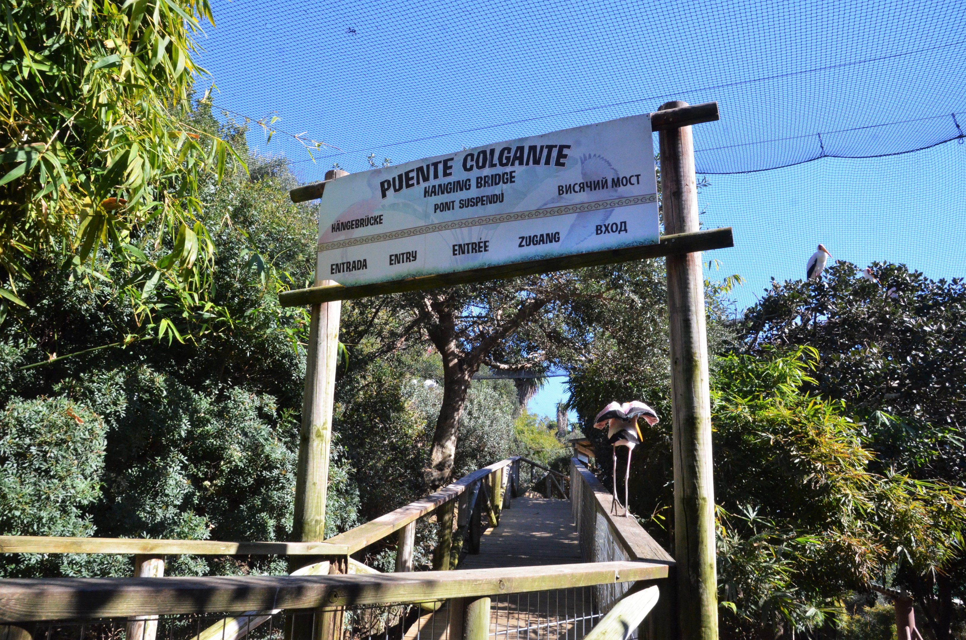 Bird Canyon Aviary at Selwo Aventura, 13/03/19