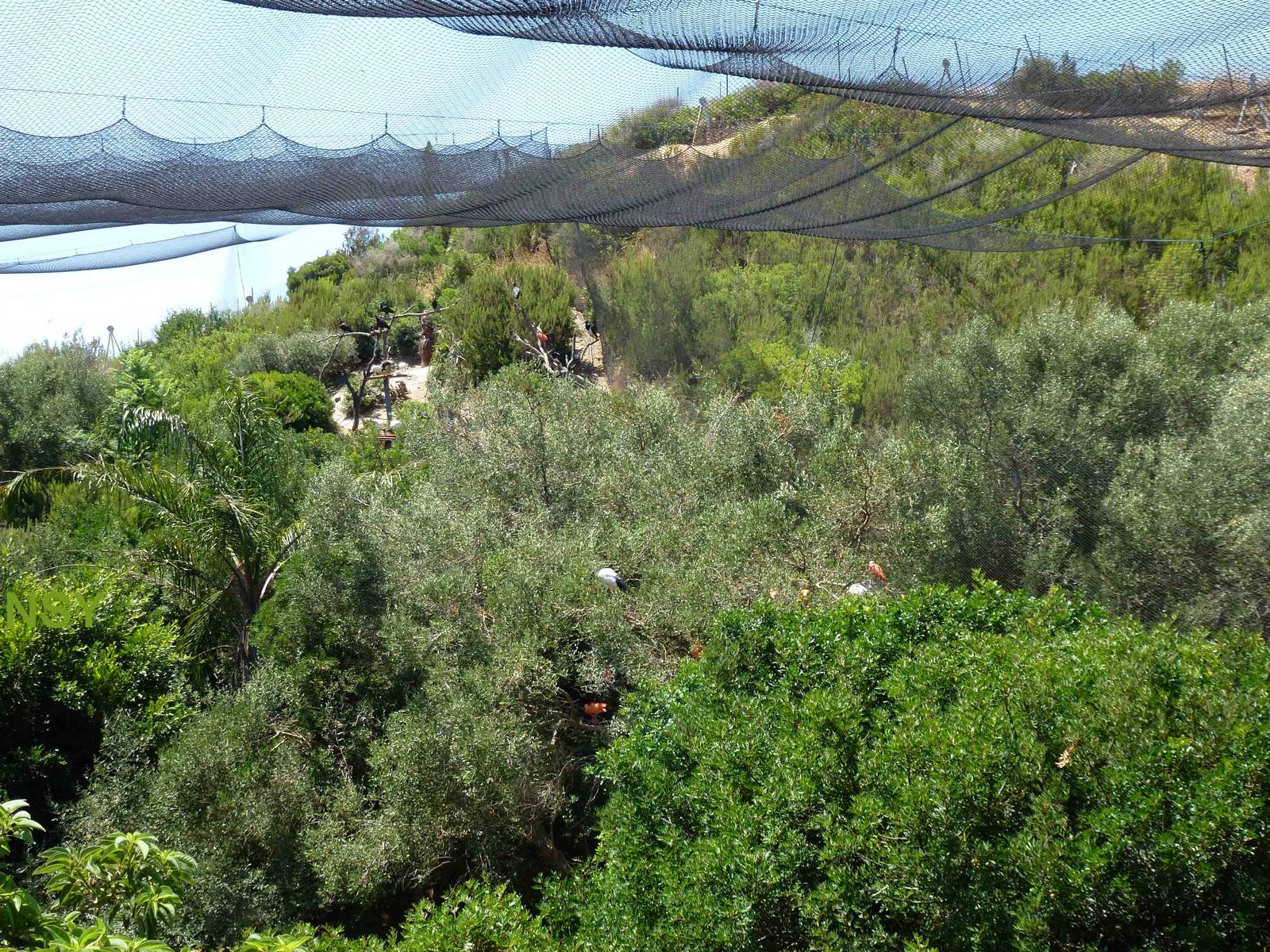 Bird canyon, July 2013.