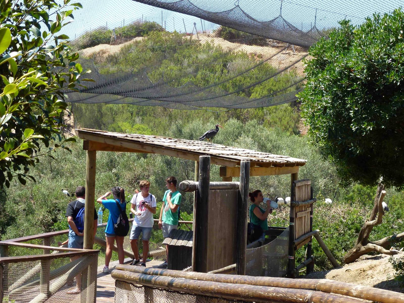 Bird canyon viewing area, July 2013.