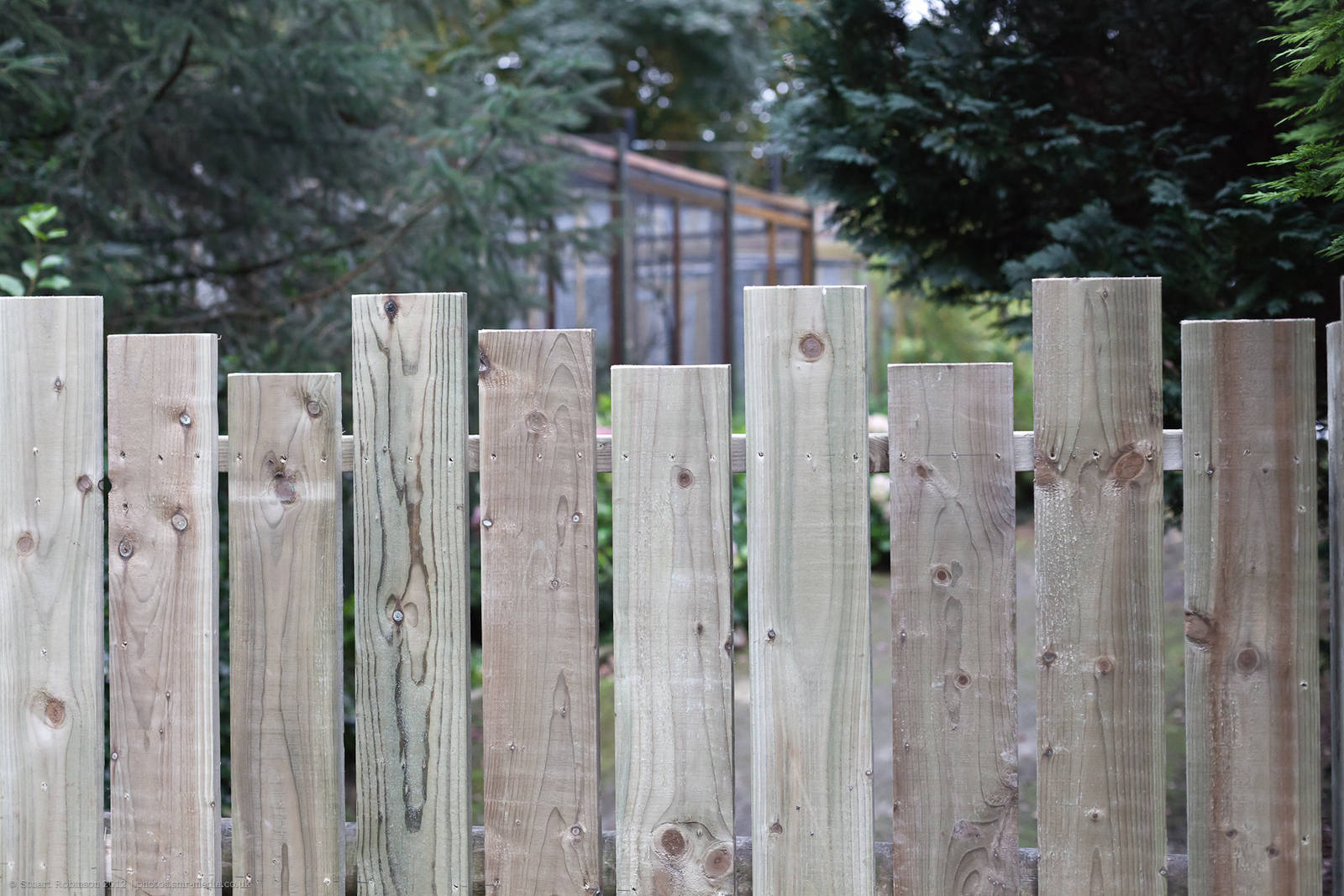 Bird Collection at Chester Zoo - 10/10/2012