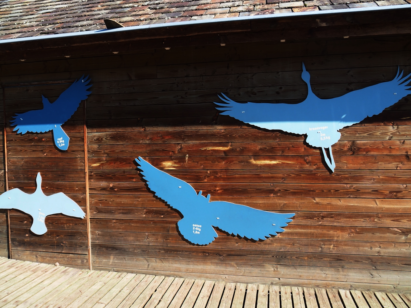 Bird cut-outs on the side of the education building, 2019-03-30