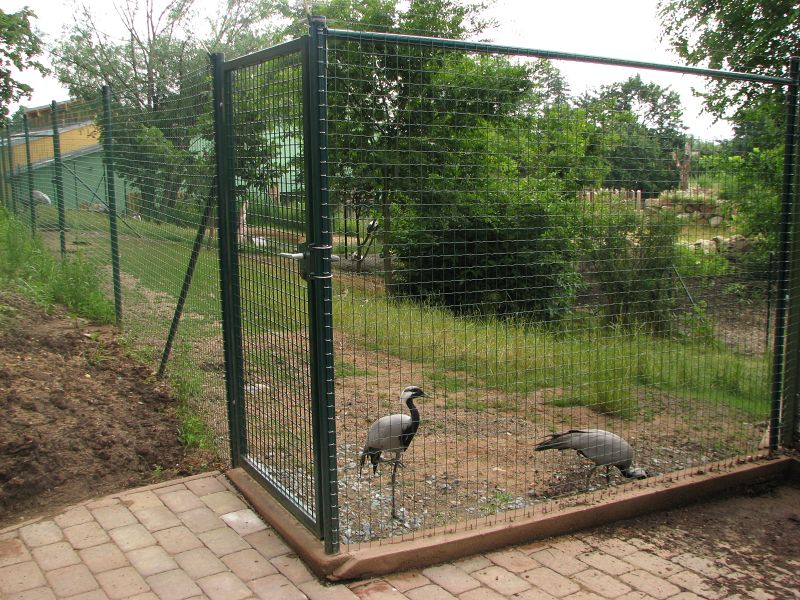 Bird enclosure near the indian rhino house