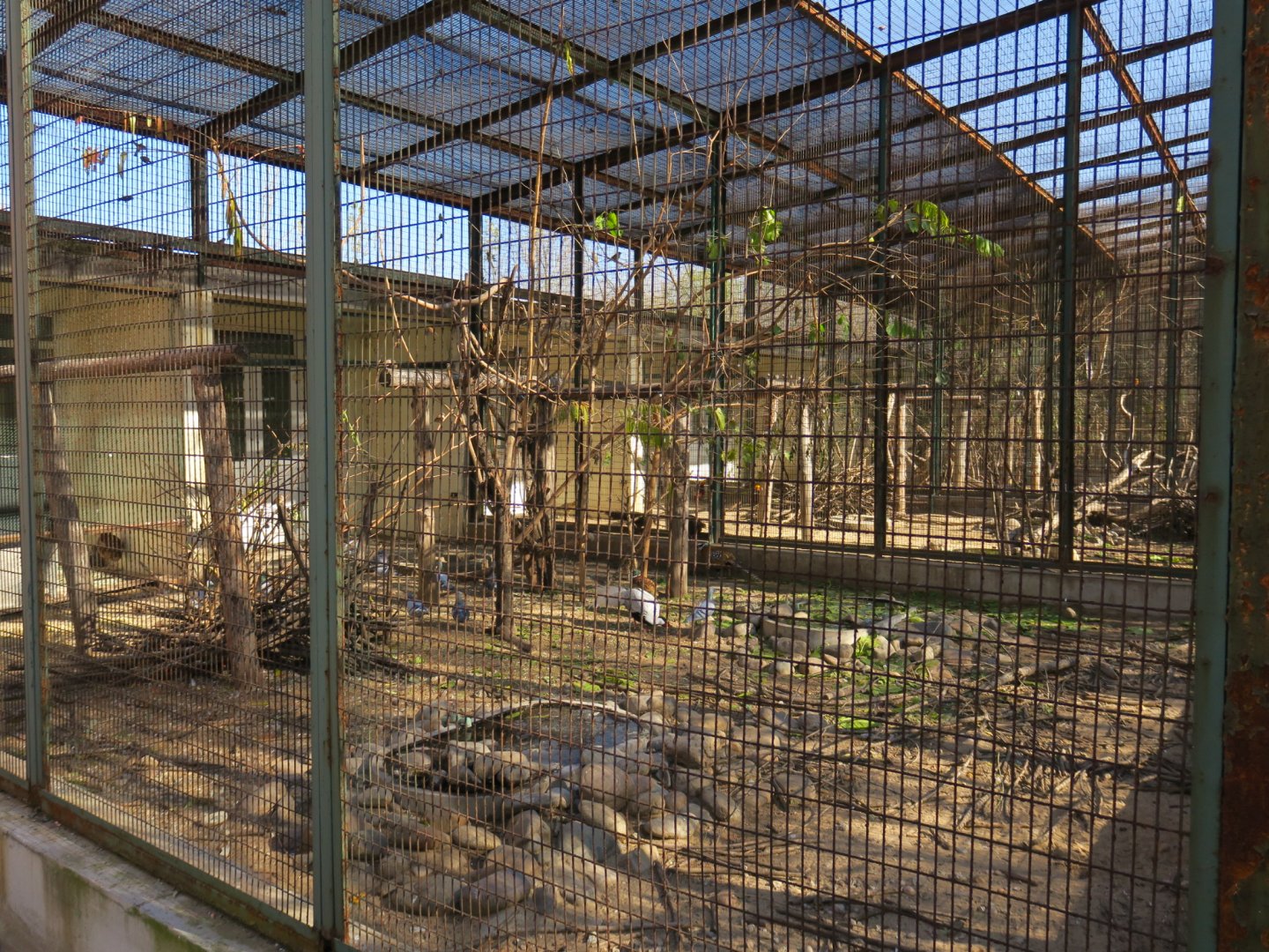 bird enclosure