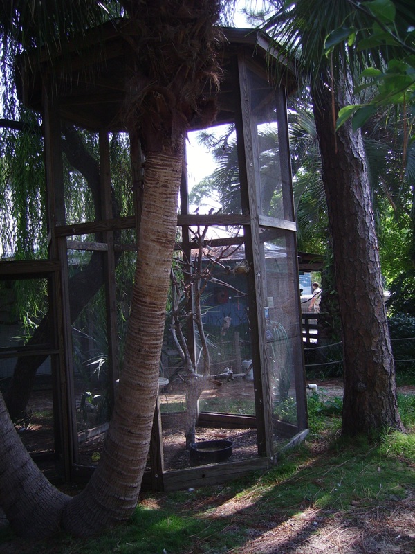 Bird Enclosure