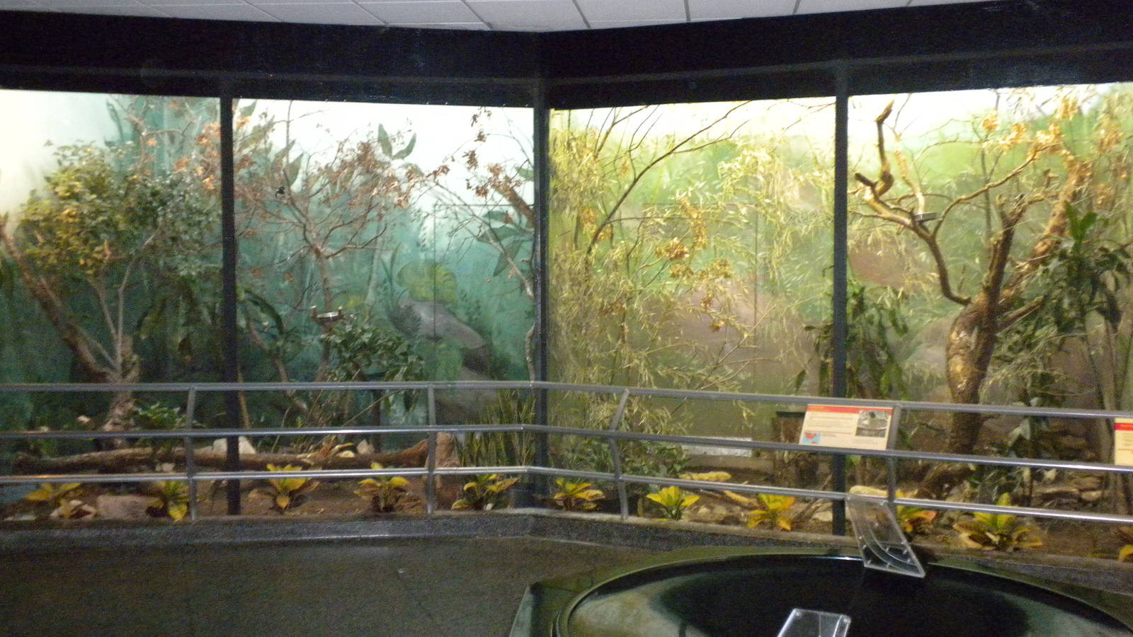 Bird exhibit in the Bird and Reptile House