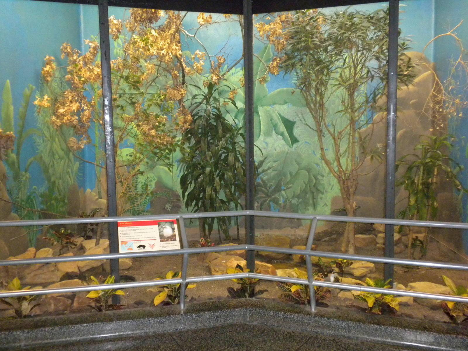 Bird exhibit in the Bird and Reptile House