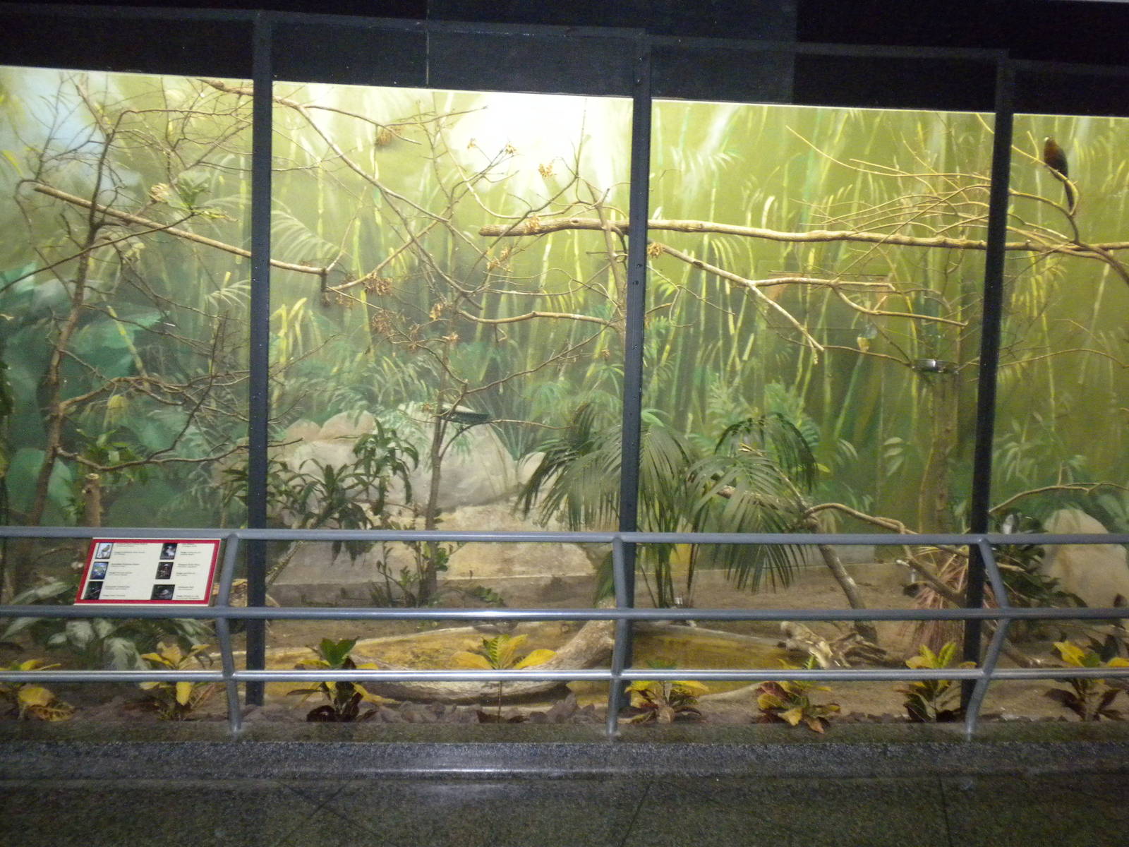 Bird exhibit in the Bird and Reptile House