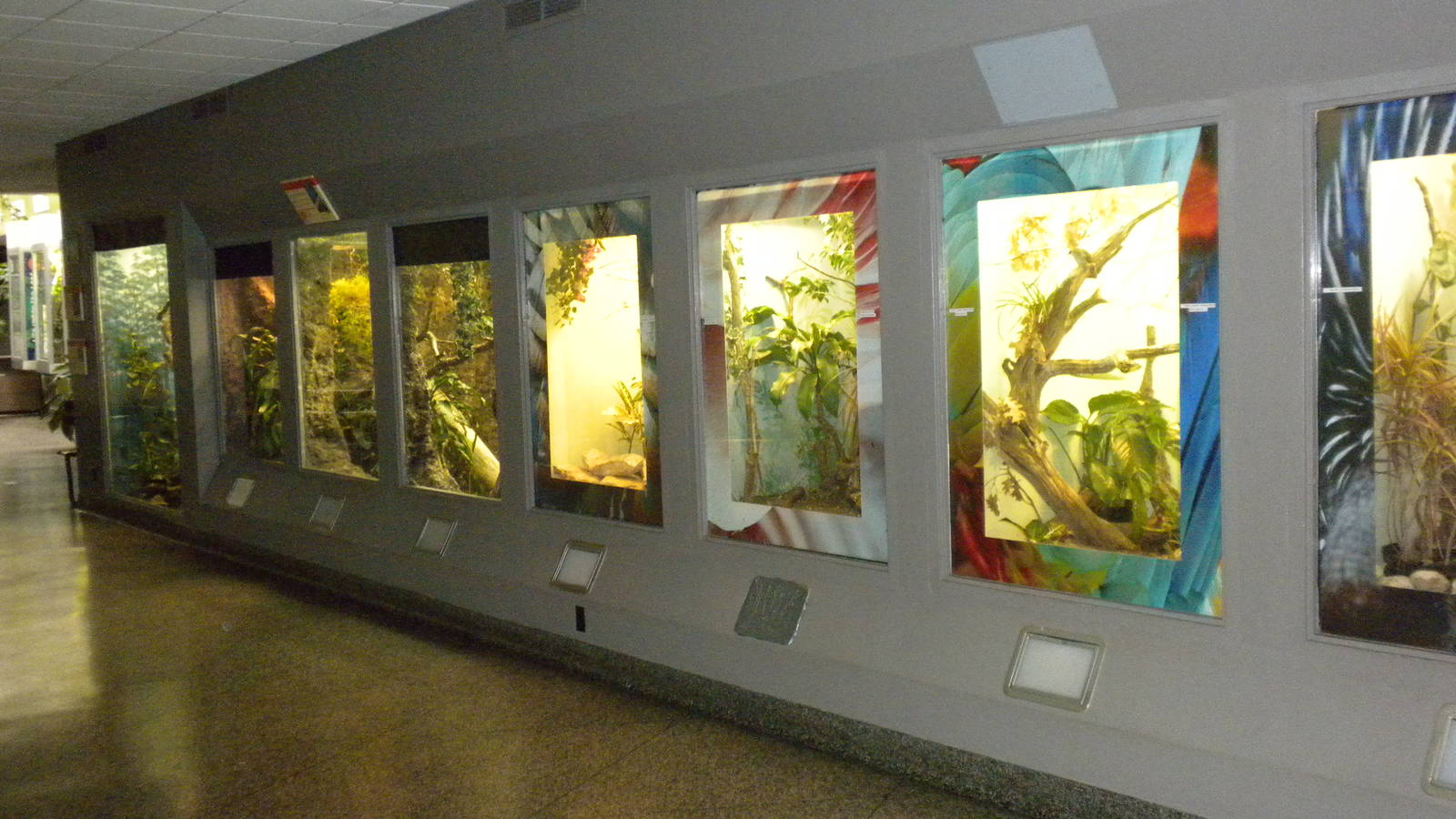 Bird exhibit in the Bird and Reptile House