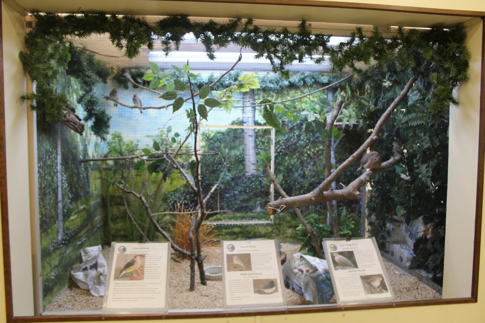 Bird Exhibit