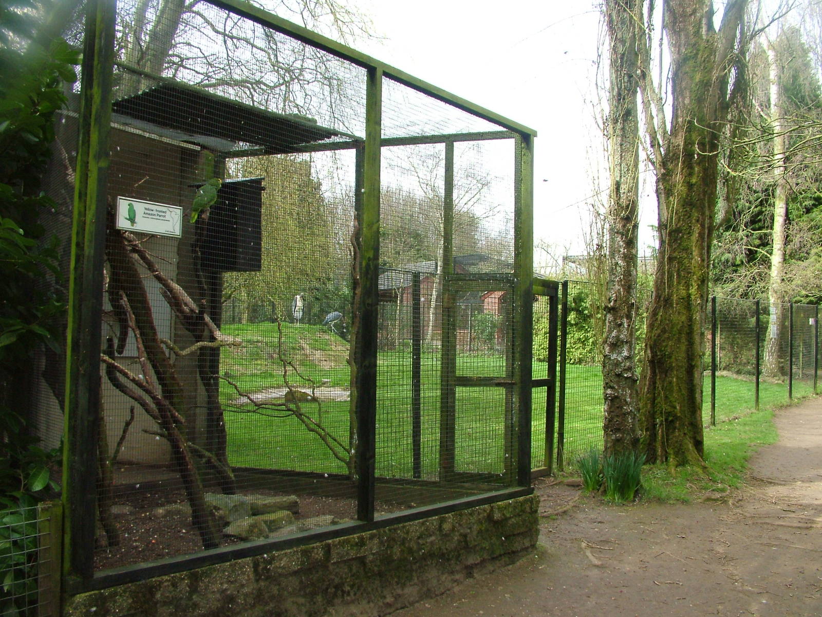 Bird exhibits at Linton 05/04/10