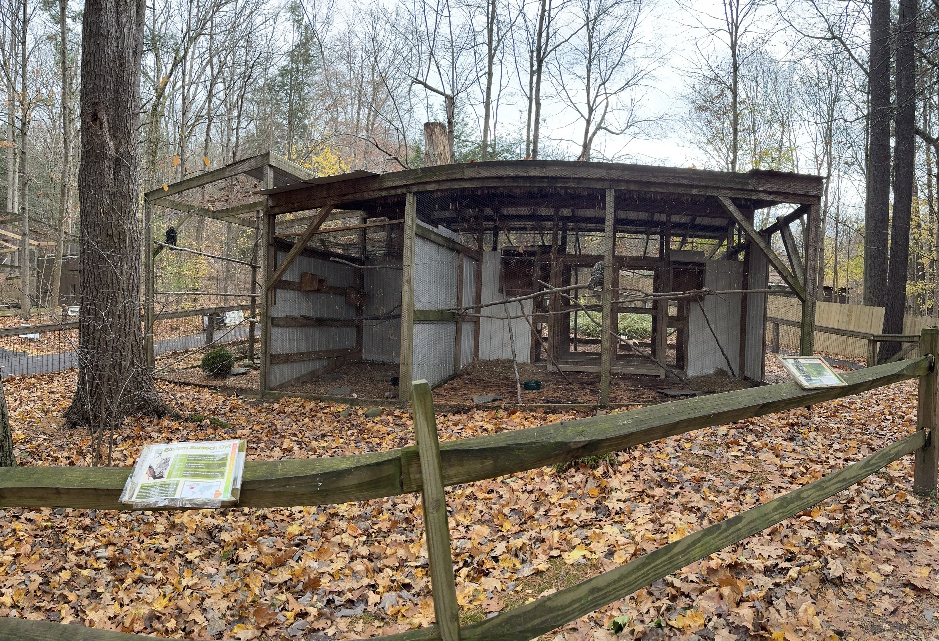 Bird exhibits (left: Black vulture/middle: Eastern screech owl/right: Barred owl)