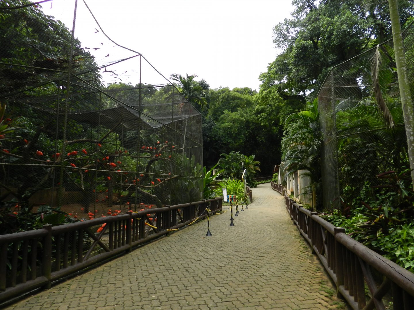 Bird exhibits - Salvador zoo (PZGV)