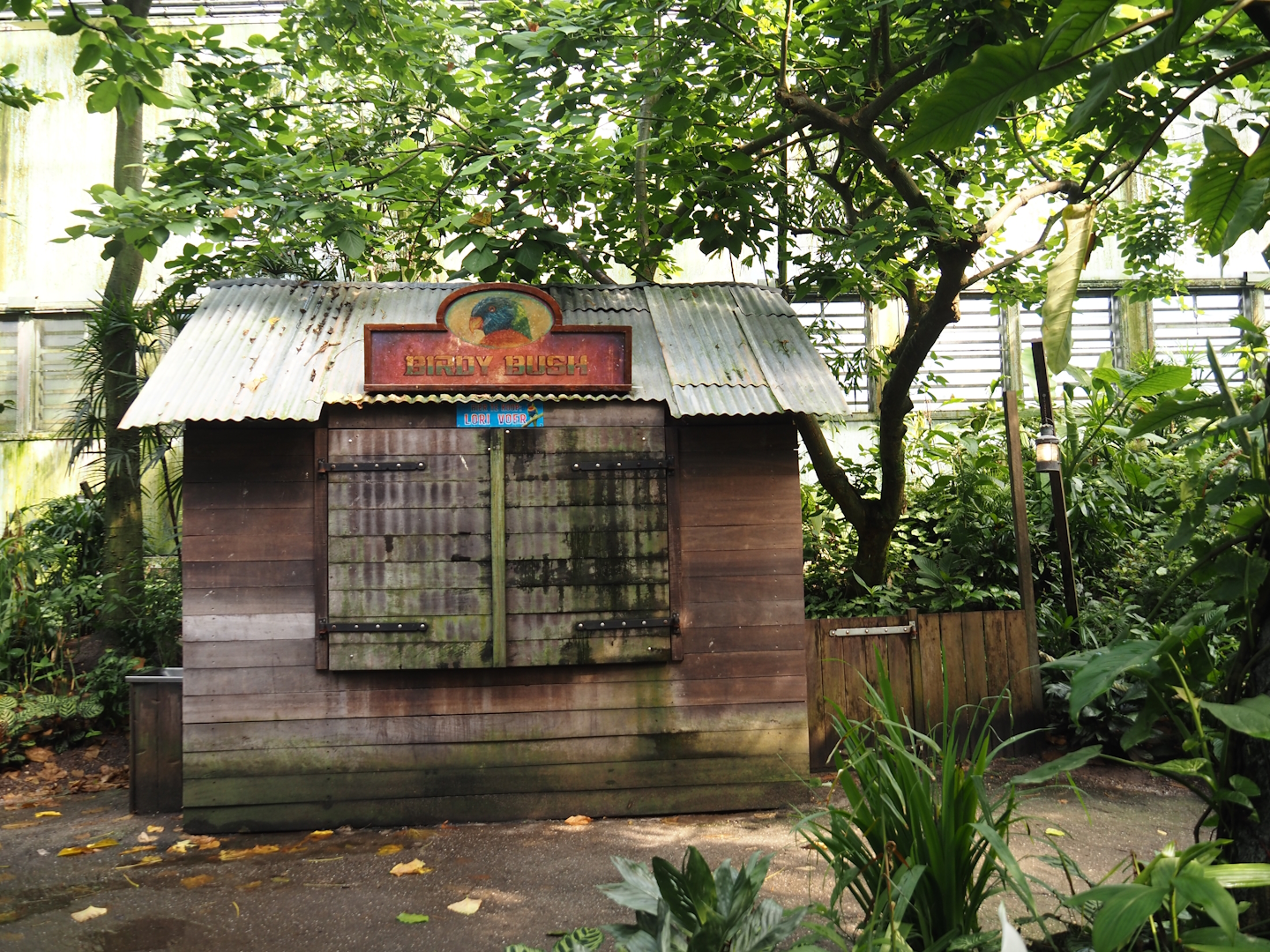 Bird feed shop cabin in Birdy Bush, 2024-06-23