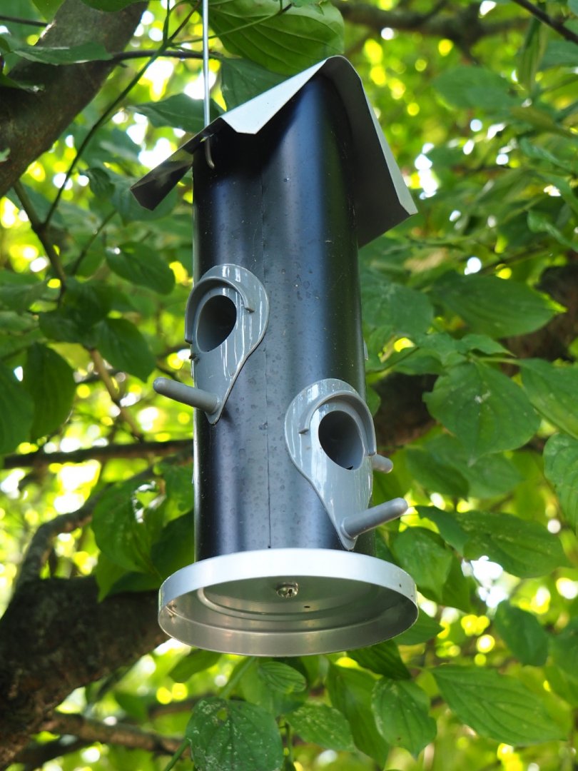 Bird feeder